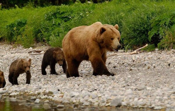 ЗАПОВЕДНАЯ БЕЛАРУСЬ
